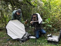 Ornithology Projects. amazon Jungle Ecuador. Yasuni ITT